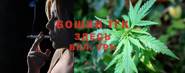 индика Наволоки