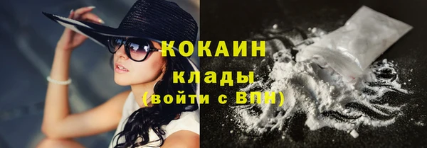 индика Наволоки