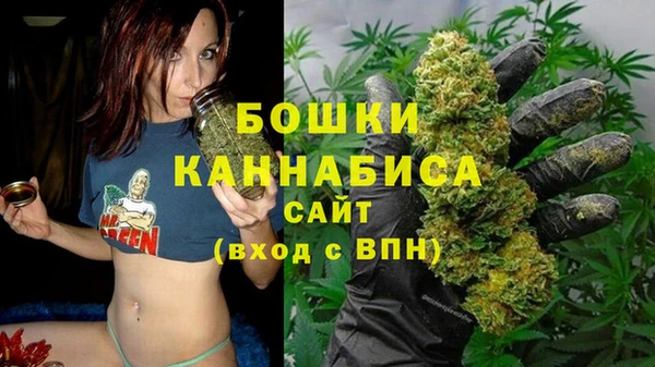 индика Наволоки