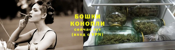 индика Наволоки