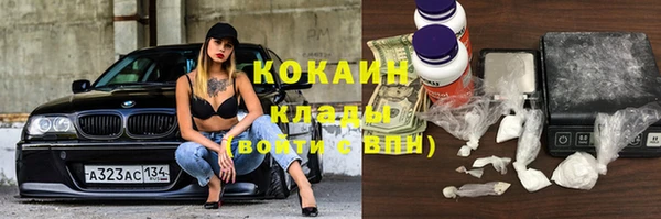 индика Наволоки